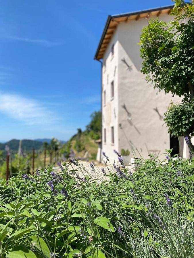 Ferienhaus für 4 Personen, mit Ausblick und Garten, mit Haustier
