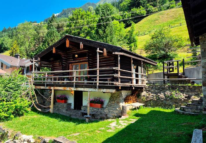 Hütte für 2 Personen, mit Terrasse, mit Haustier in Bad Hofgastein - 4