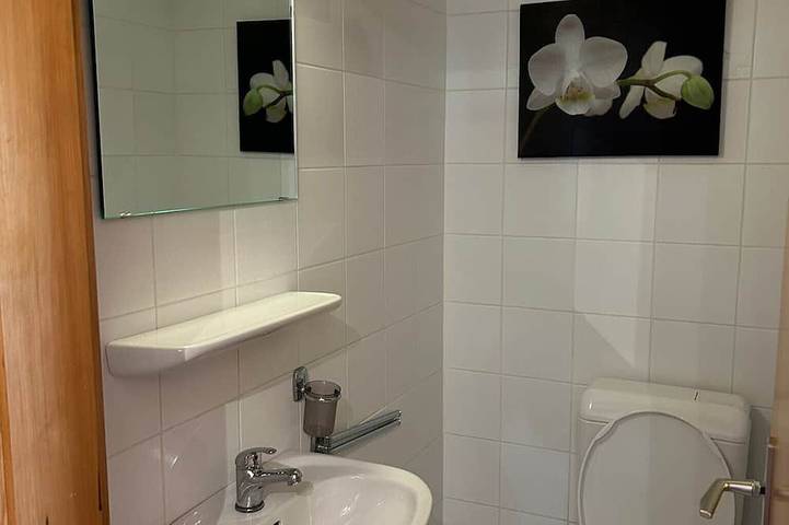 Apartamento entero, Fontanettaz V 015  - Mountain apartment 6 pers in Veysonnaz, Alpes del Valais