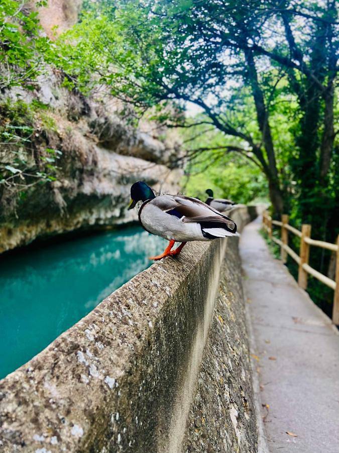 Apartamento de vacaciones para 2 personas, con vistas al lago además de vistas y balcón en La Manchuela - 4