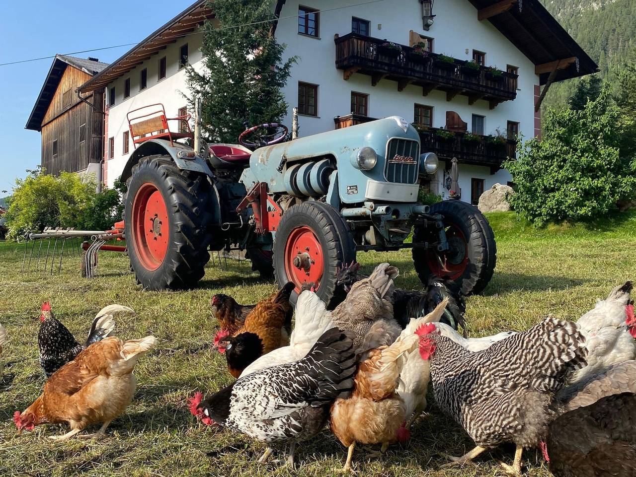 Ganze Ferienwohnung, Pulvererhof - Pulvererhof Top 1 in Achenkirch, Tiroler Unterland