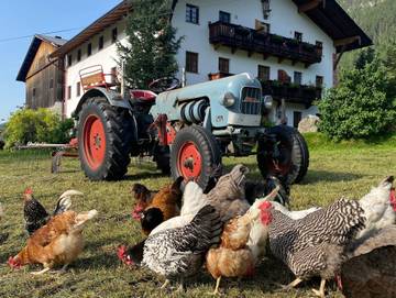 Bauernhof für 4 Personen, mit Garten und Balkon, kinderfreundlich am Achensee