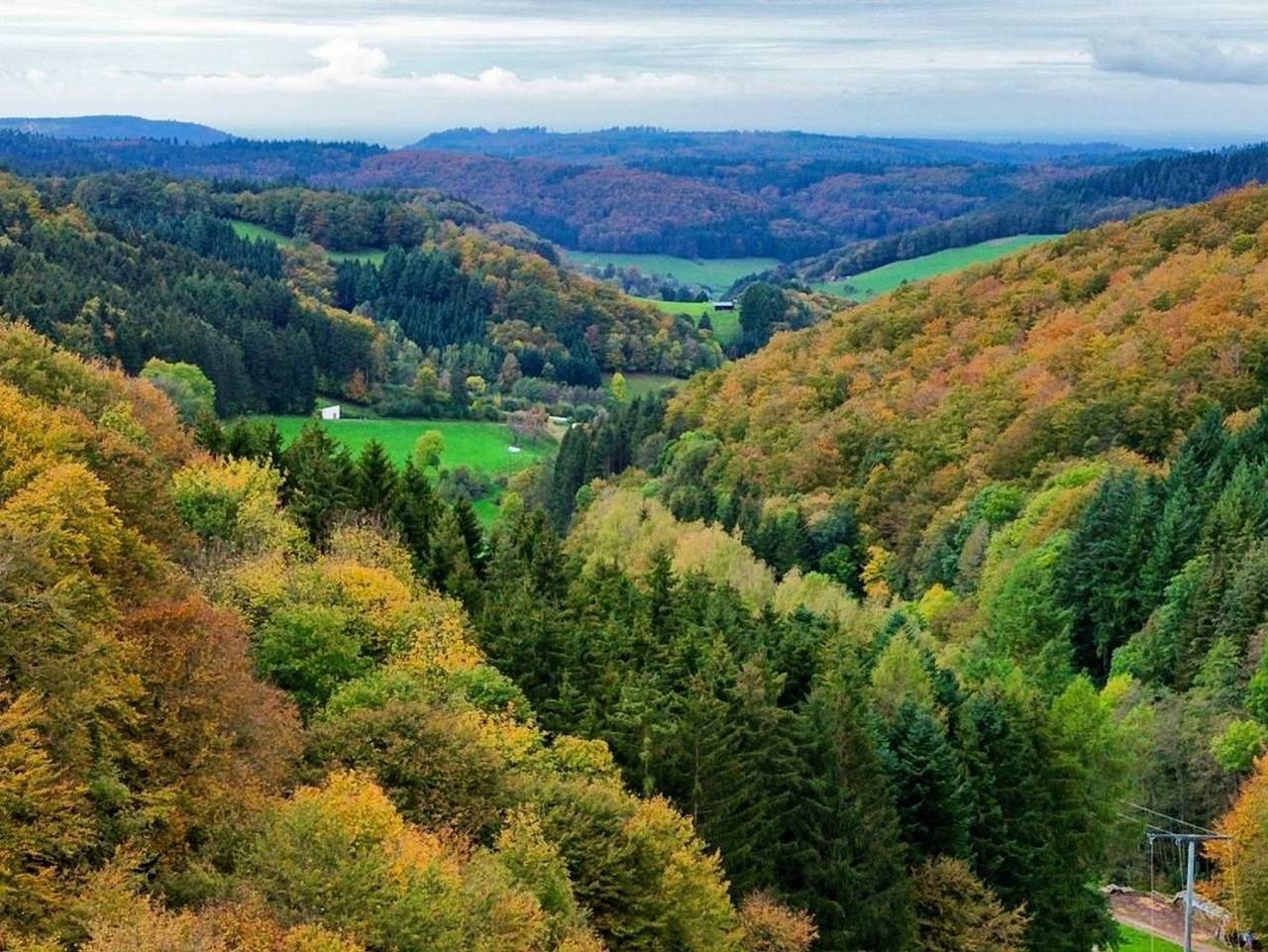 Ferienwohnung Rufenbauernhof - Ferienwohnung für 3 Pers. in Schuttertal, Hochschwarzwald