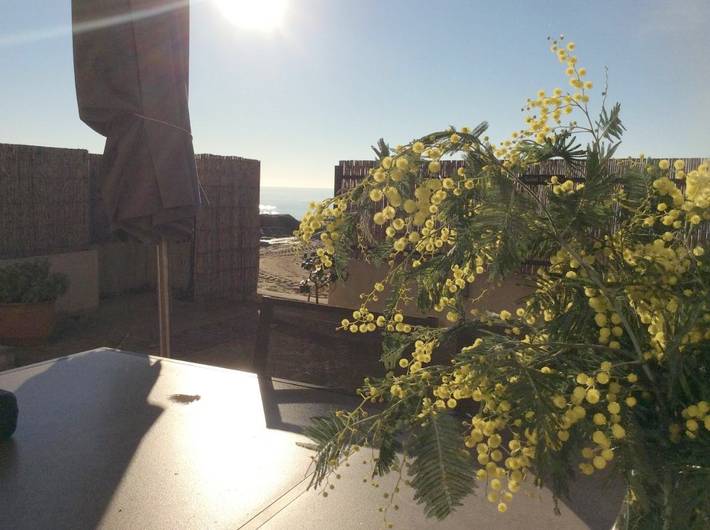 Gîte pour 6 personnes, avec balcon et vue dans Plage du Débarquement (La Croix-Valmer) - 2