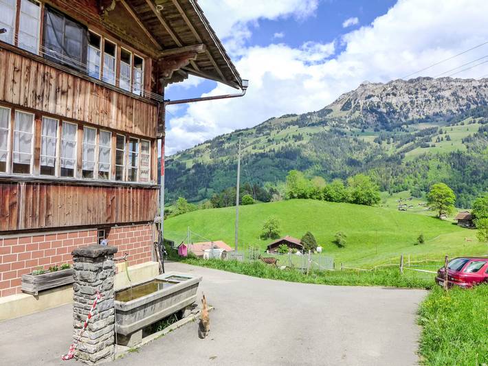 Appartement entier, Reinisch in Frutigen, Frutigen-Lenk-Adelboden