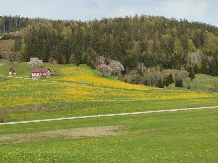 Ferienwohnung für 6 Personen, mit Garten und Ausblick sowie Terrasse, mit Haustier in Waldviertel - 3