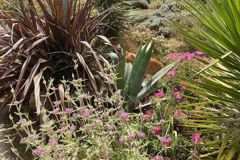 Appartement entier, F1 1Ere Ligne Vue Mer Exceptionnelle in Palavas-les-Flots, Côte d'Améthyste