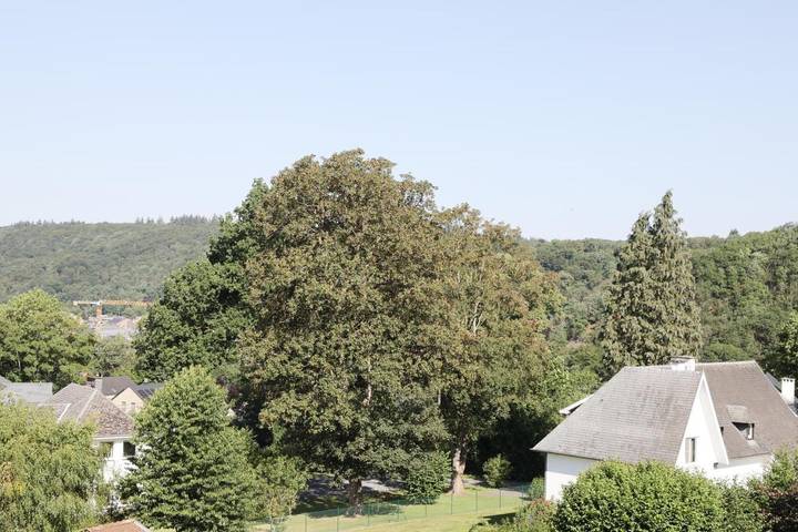 Chambre d’hôte pour 2 personnes, avec Terrasse et Jardin ainsi que Piscine et Vue à Spa - 3
