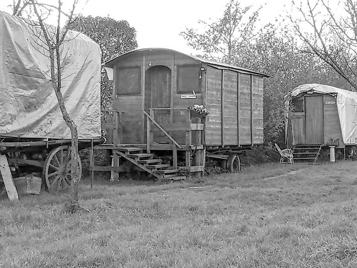 Glamping per 4 persone, con panorama e piscina nonché giardino, con animali domestici in Veneto