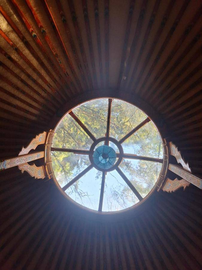 Gîte pour 4 personnes, avec vue et jardin, animaux acceptés à Dernbach - 4