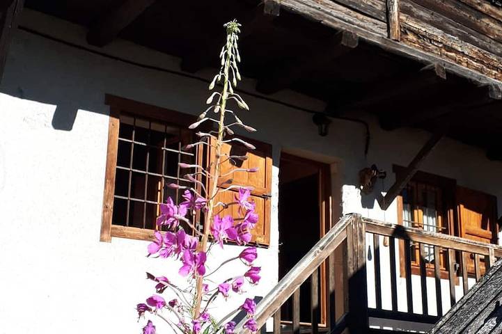 Chalet pour 3 personnes, avec jardin et balcon, animaux acceptés - 1