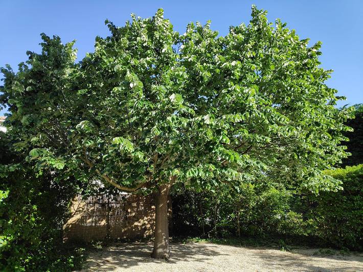 Gîte pour 4 personnes, avec terrasse et jardin dans les Bouches-du-Rhône - 4