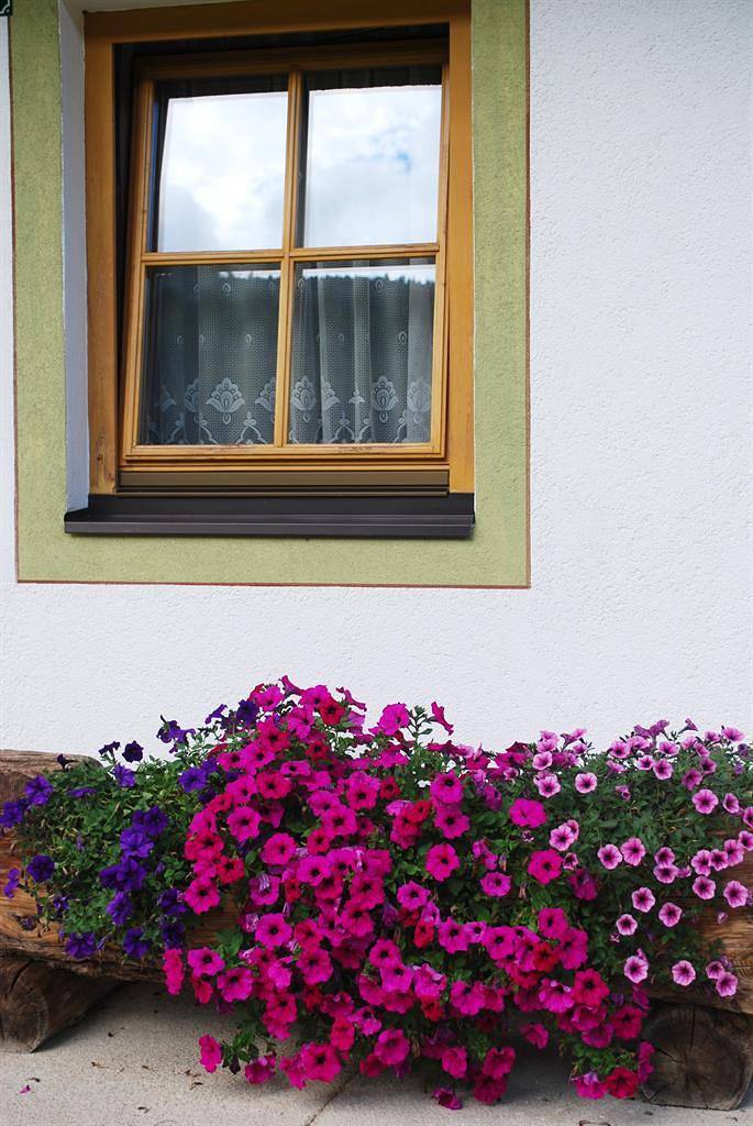 Ferienwohnung für 4 Personen, mit Garten und Ausblick, kinderfreundlich in Osttirol - 2