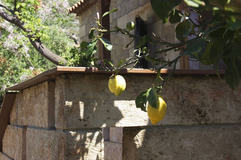 Traditionelles Ferienhaus in der Ruhe des Olivenhains in Stoupa, Messenien