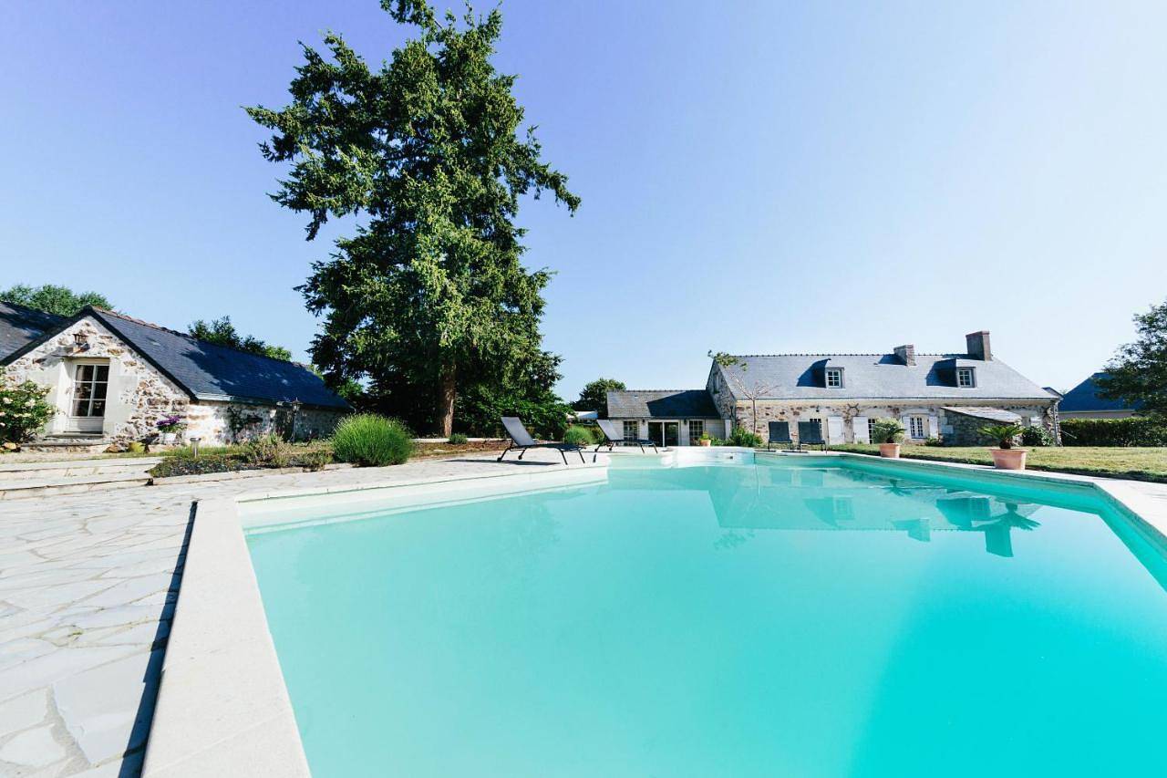 La Boire Bavard in Blaison-Gohier, Vallée de la Loire