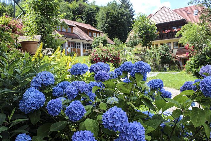 Ganze Ferienwohnung, Haghof - Ferienwohnung Tannenduft, 55qm, 2 Schlafzimmer, 1 Balkone, max. 4 Personen in Seelbach, Mittlerer Schwarzwald