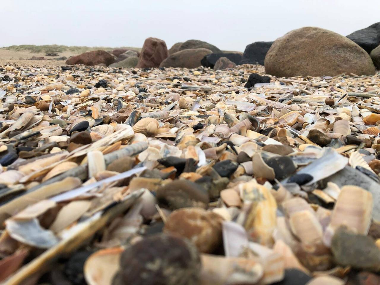 6 Personen Ferienhaus in Blåvand in Blavand, Varde