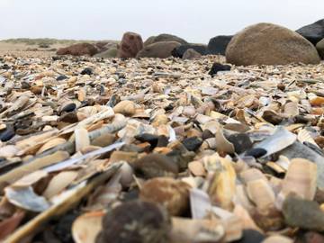 Feriehus til 6 Personer i Blåvand, Nordsjøkysten av Danmark, Bilde 4