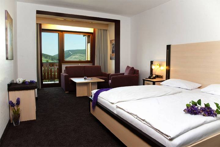 Waldhotel Willingen - Neu! Panorama- Doppelzimmer in Willingen, die Mittelgebirge