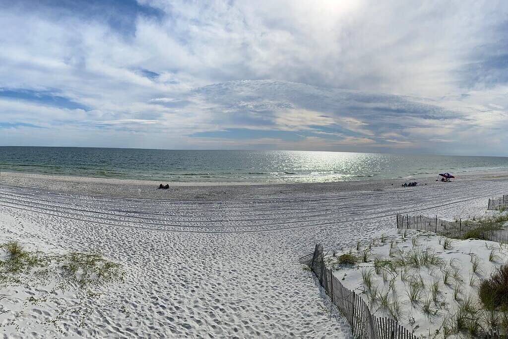 Sunny Paws in Cape San Blas