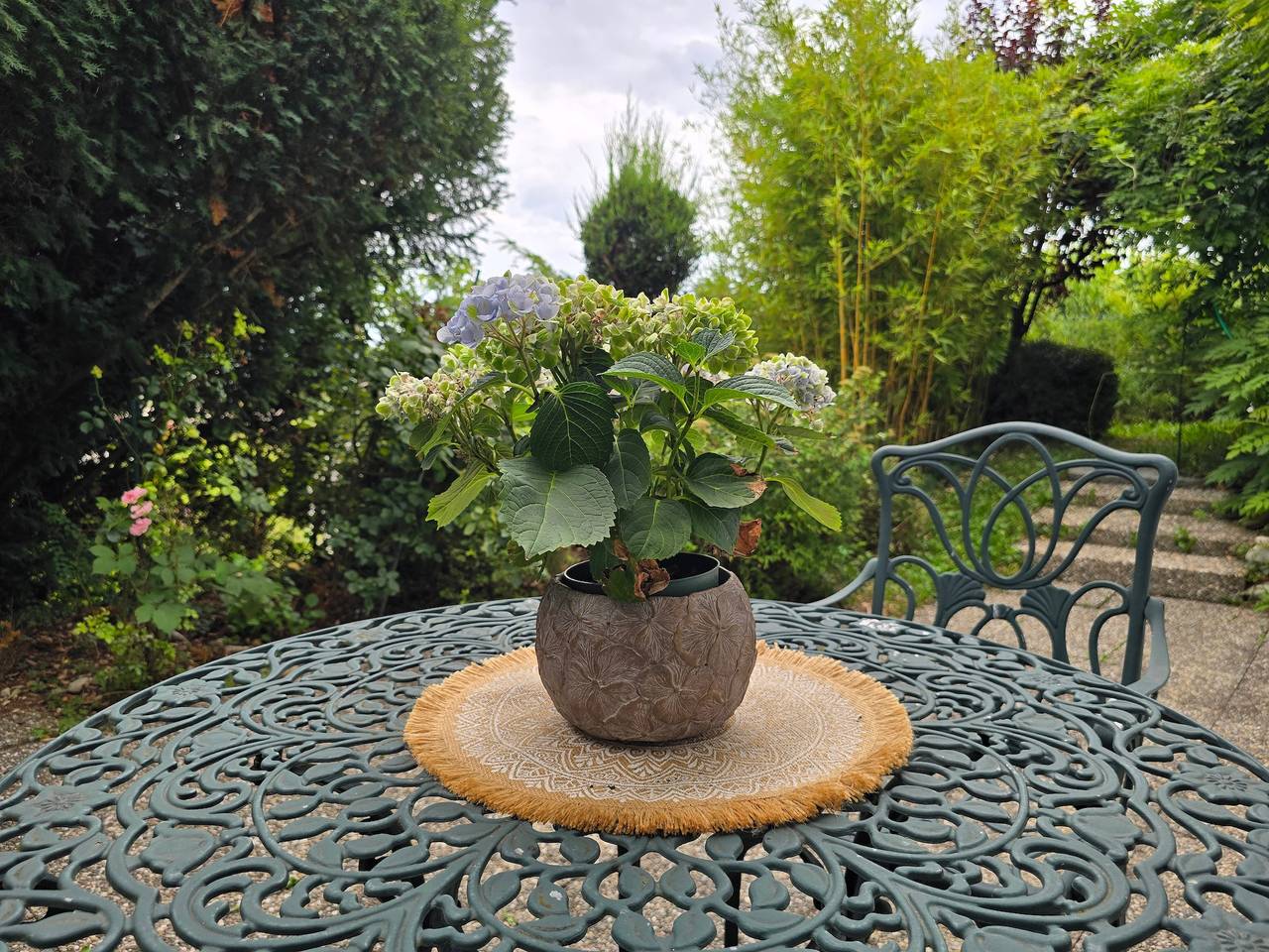 Ganzes Studio, Ferienhaus 'Haus Creasoluz' mit Seeblick, privater Terrasse und Wlan in Bodman-Ludwigshafen, Obersee (Bodensee)