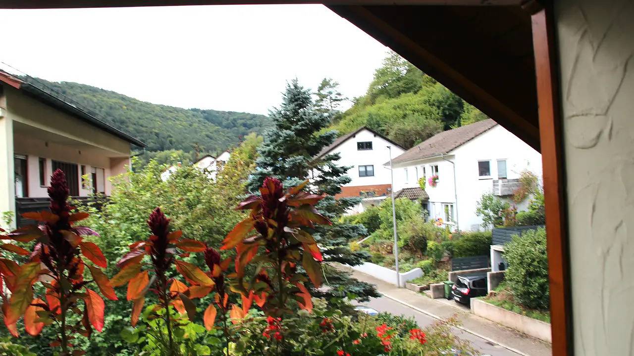 Geheel vakantieappartement, Vakantieappartement voor 4 personen met terras in Rinnthal, Landkreis Südliche Weinstraße