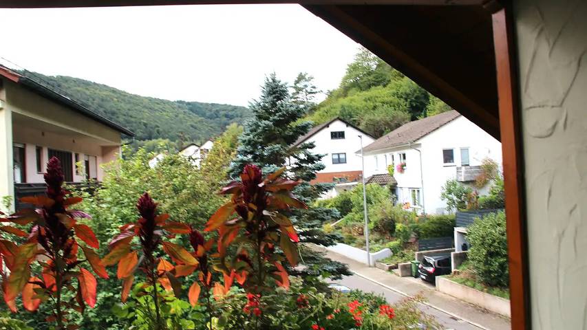 Ferienwohnung für 4 Personen, mit Garten in Kurpfalz - 2