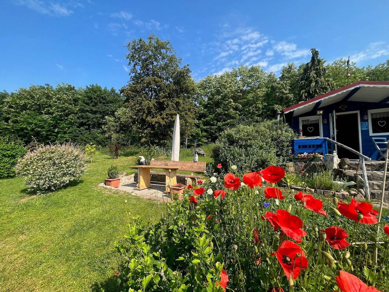 Ganze Ferienwohnung, Ferienwohnung Pfaffenholzblick - Ferienwohnung Pfaffenholzblick in Bad Sachsa, Harzvorland