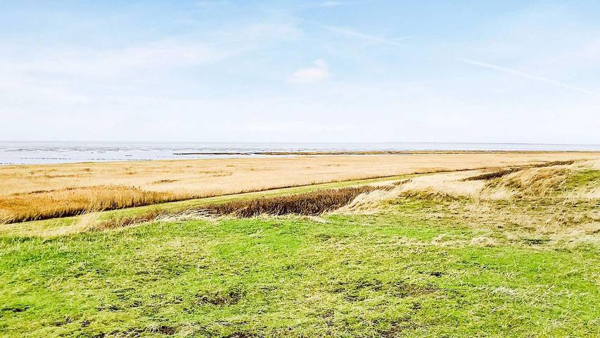 Location de vacances pour 7 personnes, avec jardin à Ribe - 3