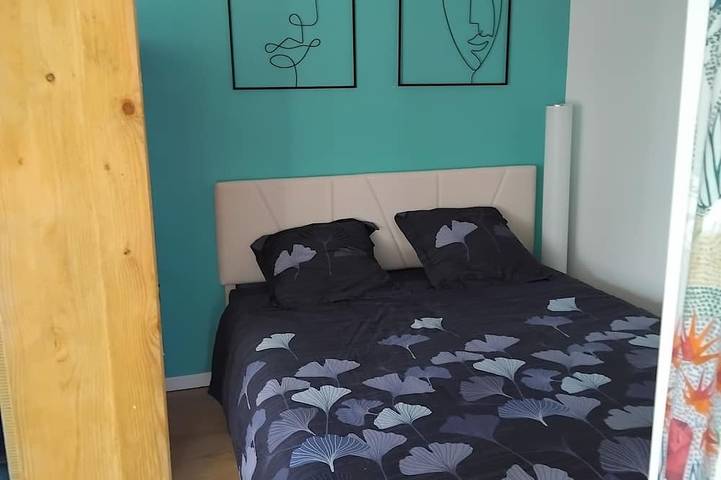 Location de vacances pour 4 personnes, avec jacuzzi et jardin, animaux acceptés à Saint-Clair-de-la-Tour - 2
