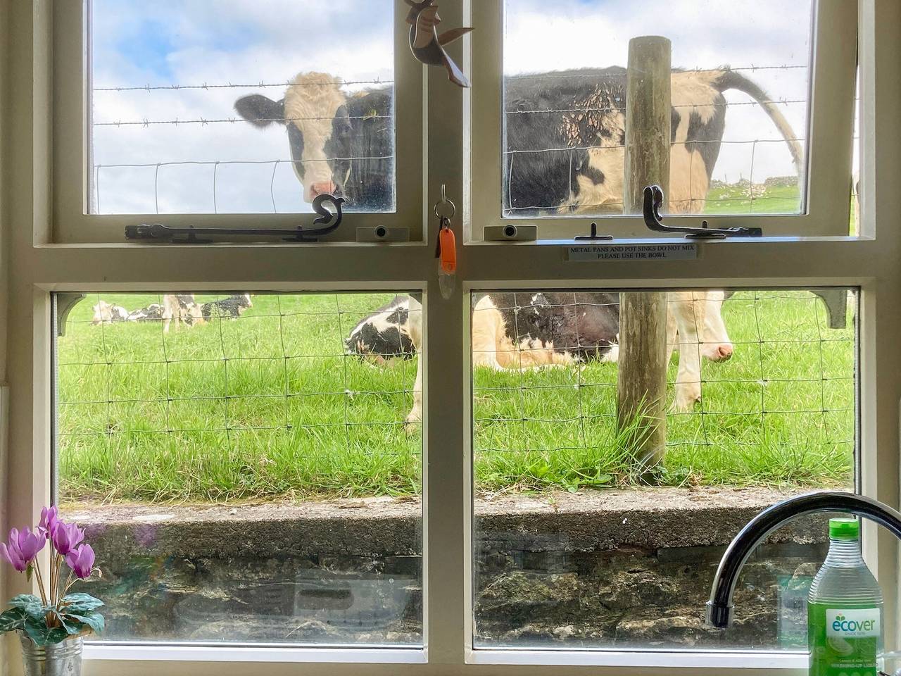 Spoutscroft Cottage in Forest of Bowland