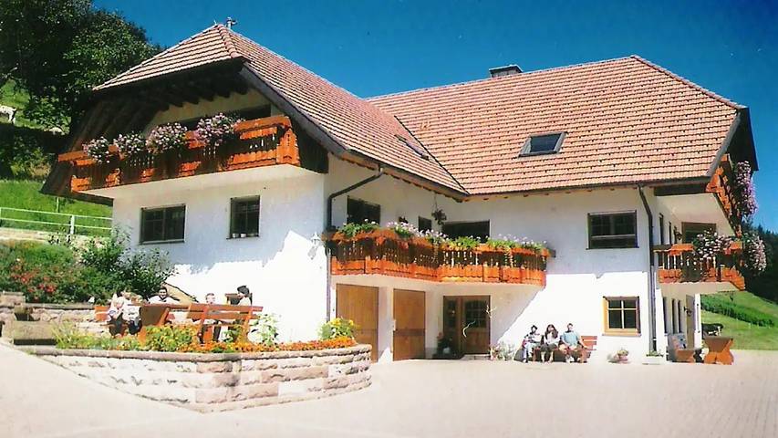 Ferienwohnung für 4 Personen, mit Balkon und Garten in Hofstetten