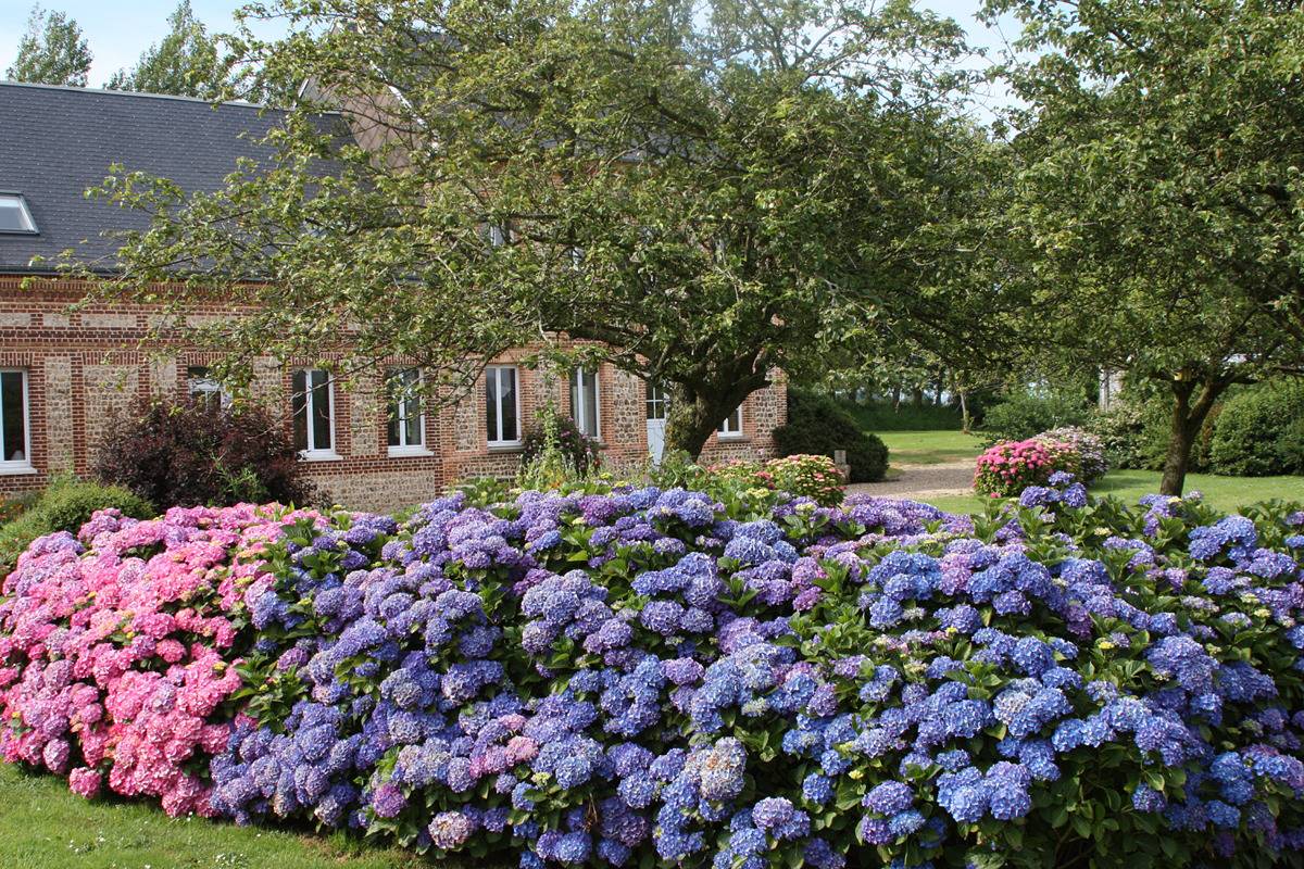 Le Clos d'Albâtre - Monet in Anglesqueville-L'esneval, Le Havre Region