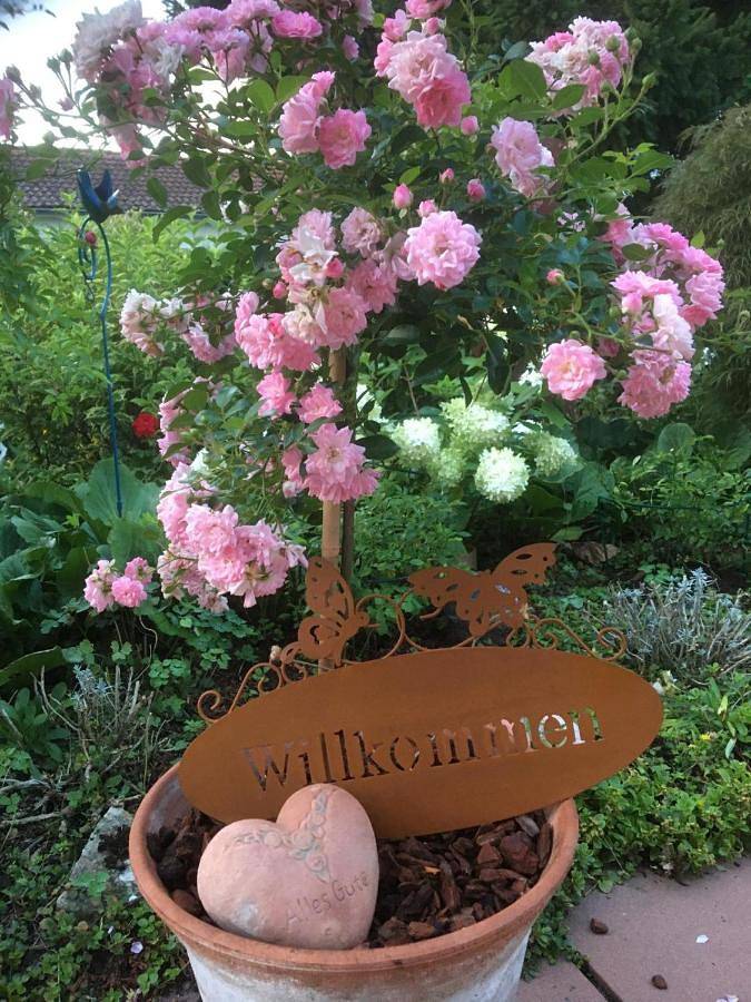 Ferienwohnung für 5 Personen, mit Terrasse in Lorsch