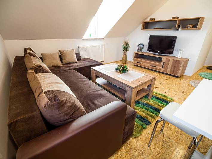 Holiday rental for 4 people, child-friendly in Ljubljana