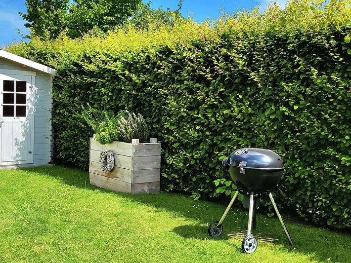 Ferienwohnung für 5 Personen, mit Terrasse und Garten in Harlesiel - 4