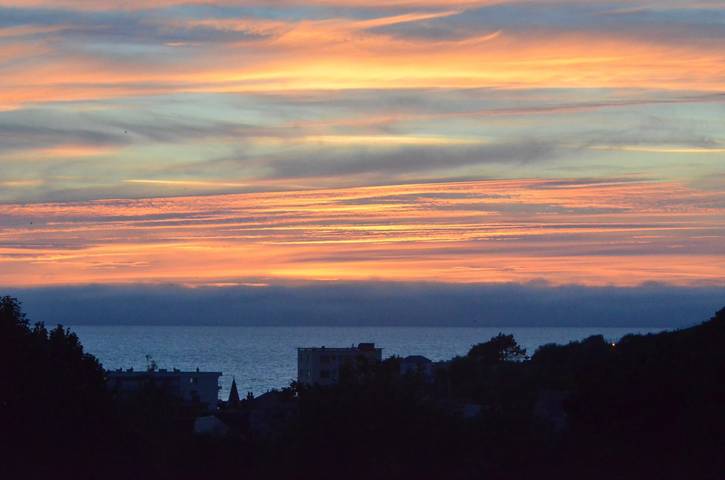 Studio pour 2 personnes, avec jardin, animaux acceptés en Seine-Maritime - 2