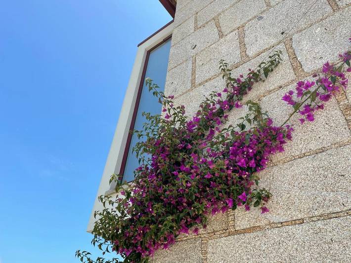 Location de vacances pour 8 personnes, avec jardin et piscine dans Freixo - 3