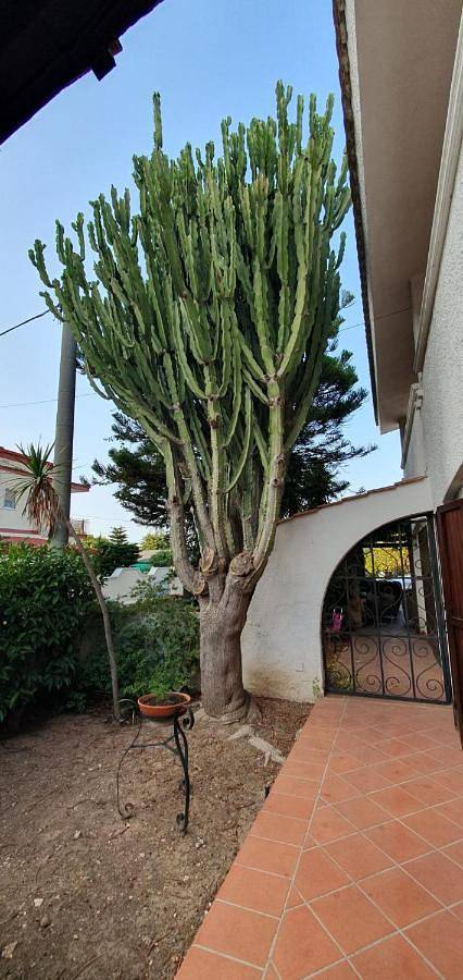 Villa für 7 Personen, mit Garten und Ausblick, kinderfreundlich in Taranto - 2