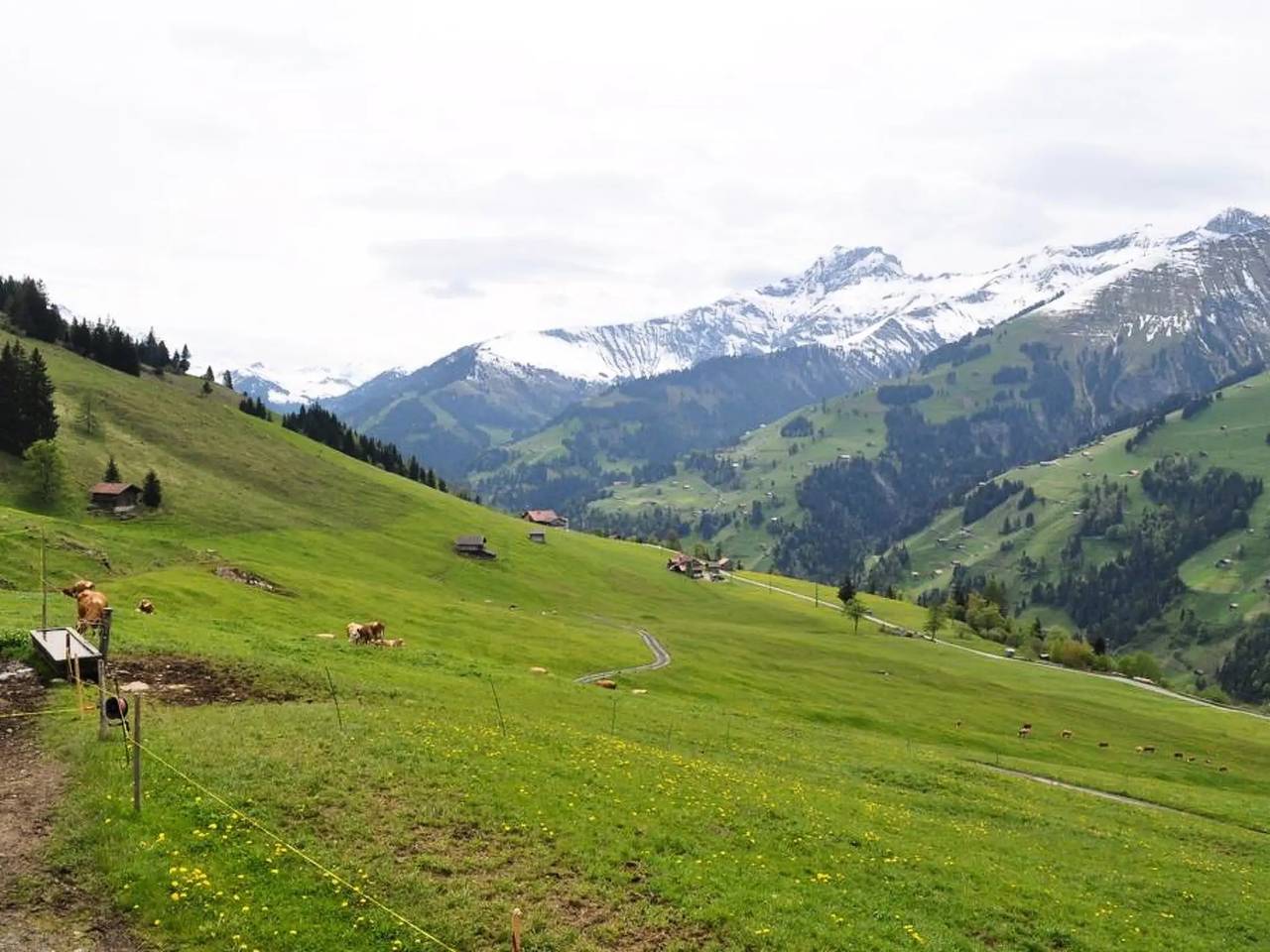 Ganze Wohnung, 5 Pièces 8 Personnes in Frutigen, Frutigen - Lenk - Adelboden