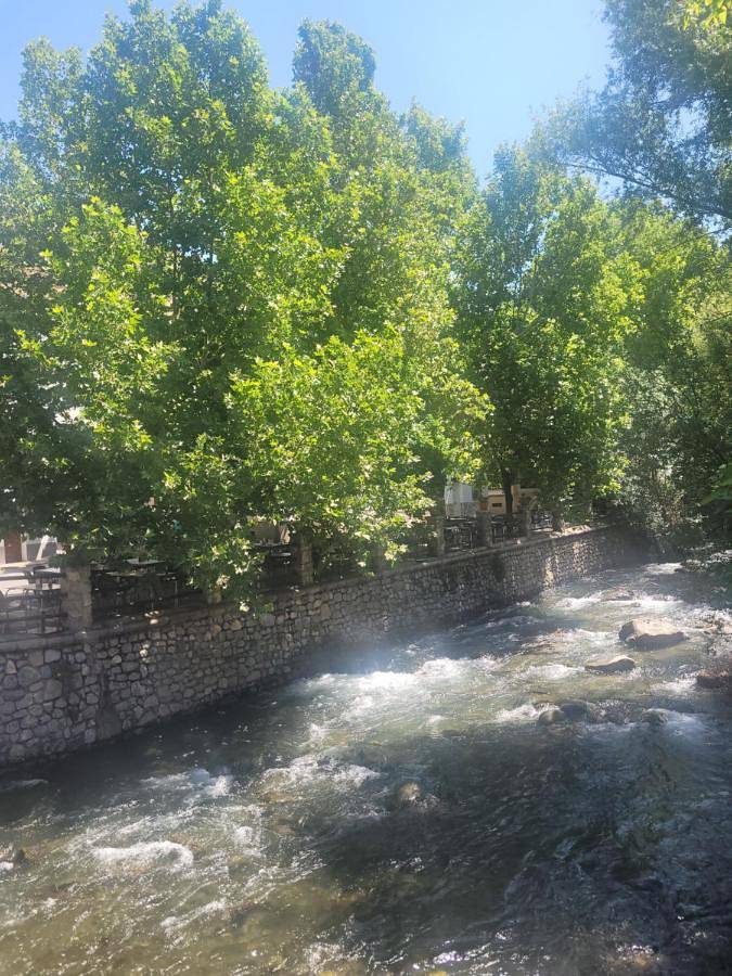 Gîte pour 3 personnes, avec terrasse et vue à Pinos Genil - 4