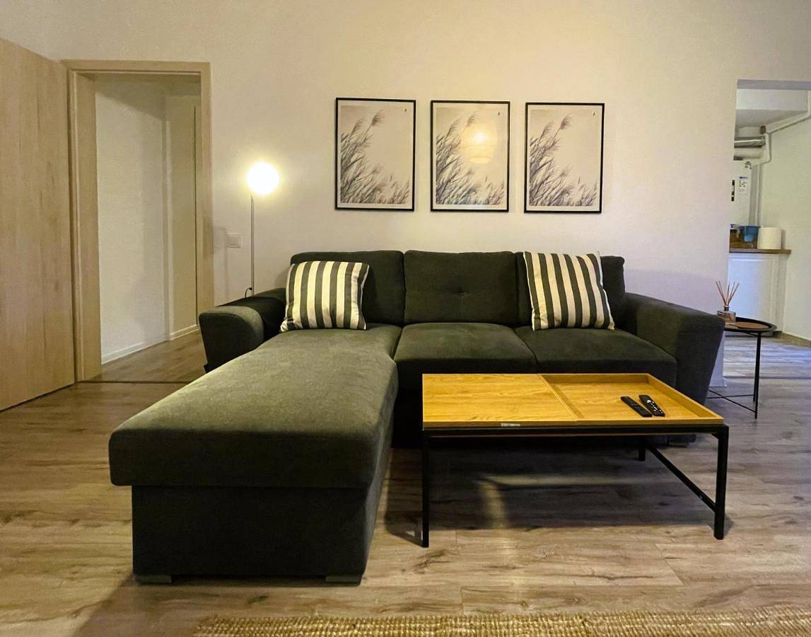 Appartement entier, Cozy Place to Remember – with fireplace & Netflix in Brașov, Carpates