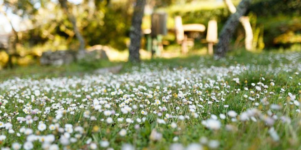 Chalet para 5 personas, con piscina además de vistas y jardín, Se admiten mascotas en Alentejo - 3