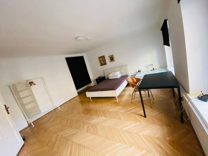 Ganze Ferienwohnung, Wohnung, 3 Zimmer, eines davon Durchgangszimmer, ruhig, Graz Zentrum in Graz, Steirerland