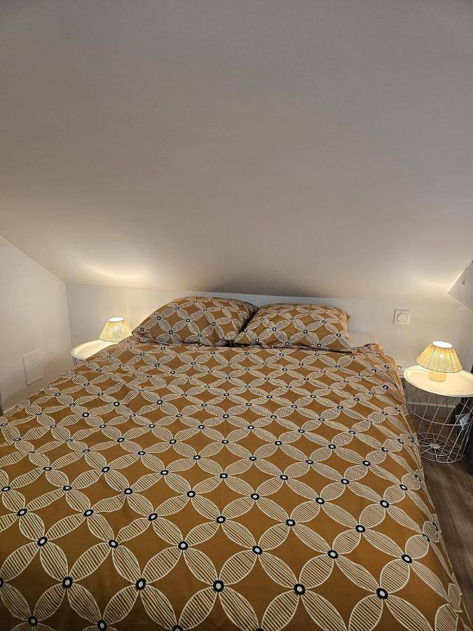 Appartement entier, Le Ptit nid Cocon au cœur du centre ville in Château-Gontier-sur-Mayenne, Mayenne