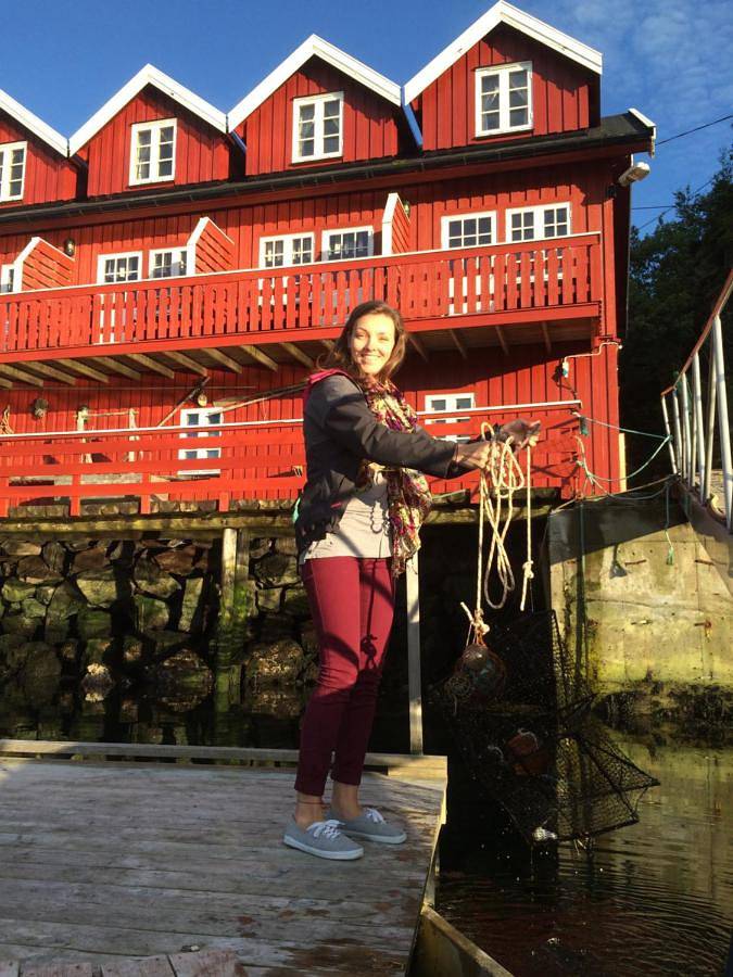Ferienwohnung für 4 Personen, mit Terrasse und Ausblick sowie Sauna, mit Haustier - 1
