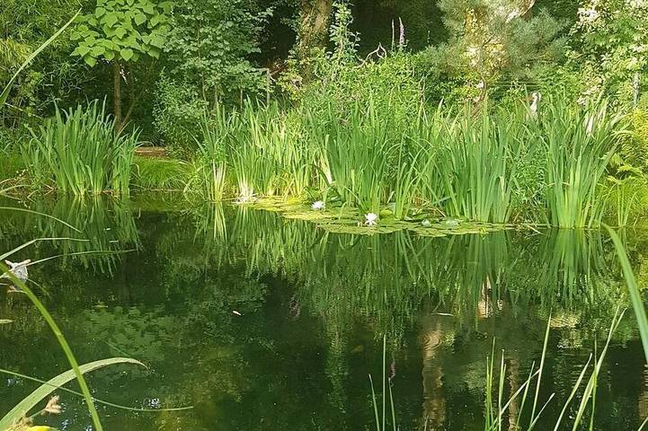 Ferienhaus für 4 Personen, mit Garten - 1