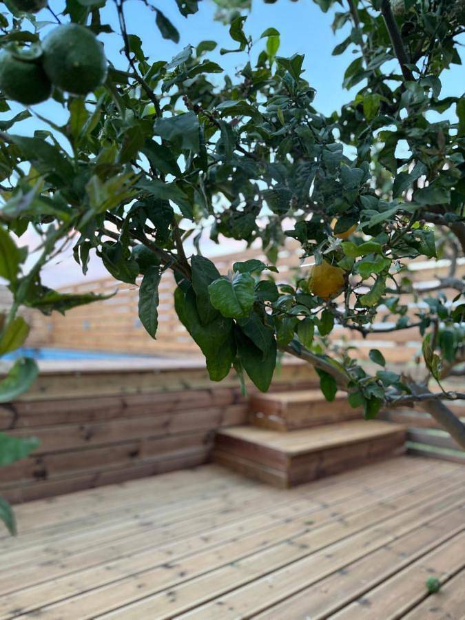 Ferienhaus für 8 Personen, mit Terrasse in Rhodos Stadt - 2