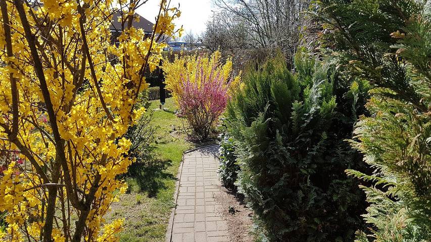 Ferienwohnung für 2 Personen, mit Terrasse in Kühlungsborn - 3