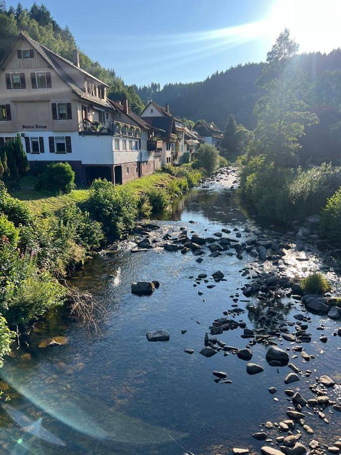 Ferienwohnung für 7 Personen, mit Balkon und Terrasse sowie Garten und Ausblick in Schönmünzach